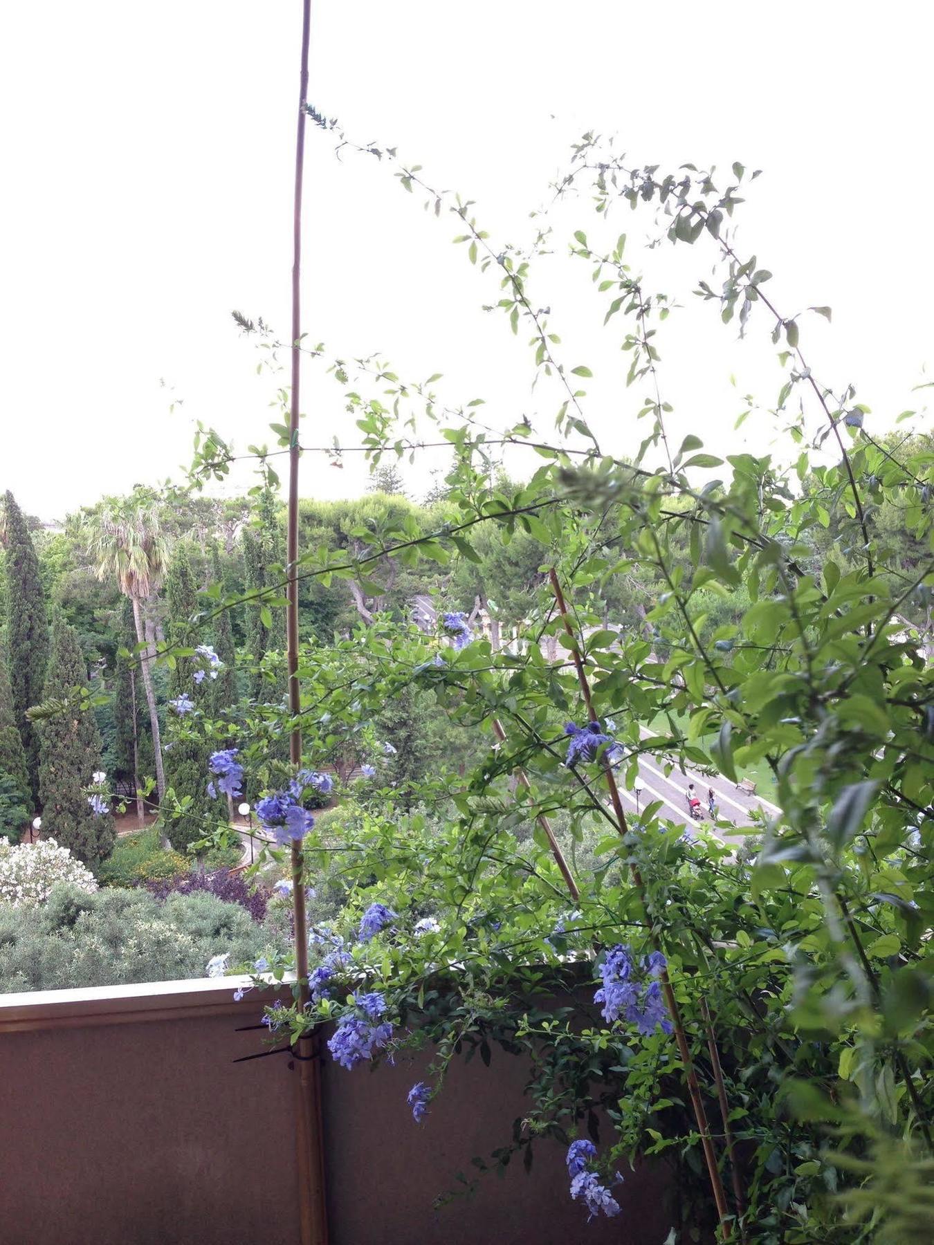 Larala' Bed and Breakfast Λέτσε Εξωτερικό φωτογραφία