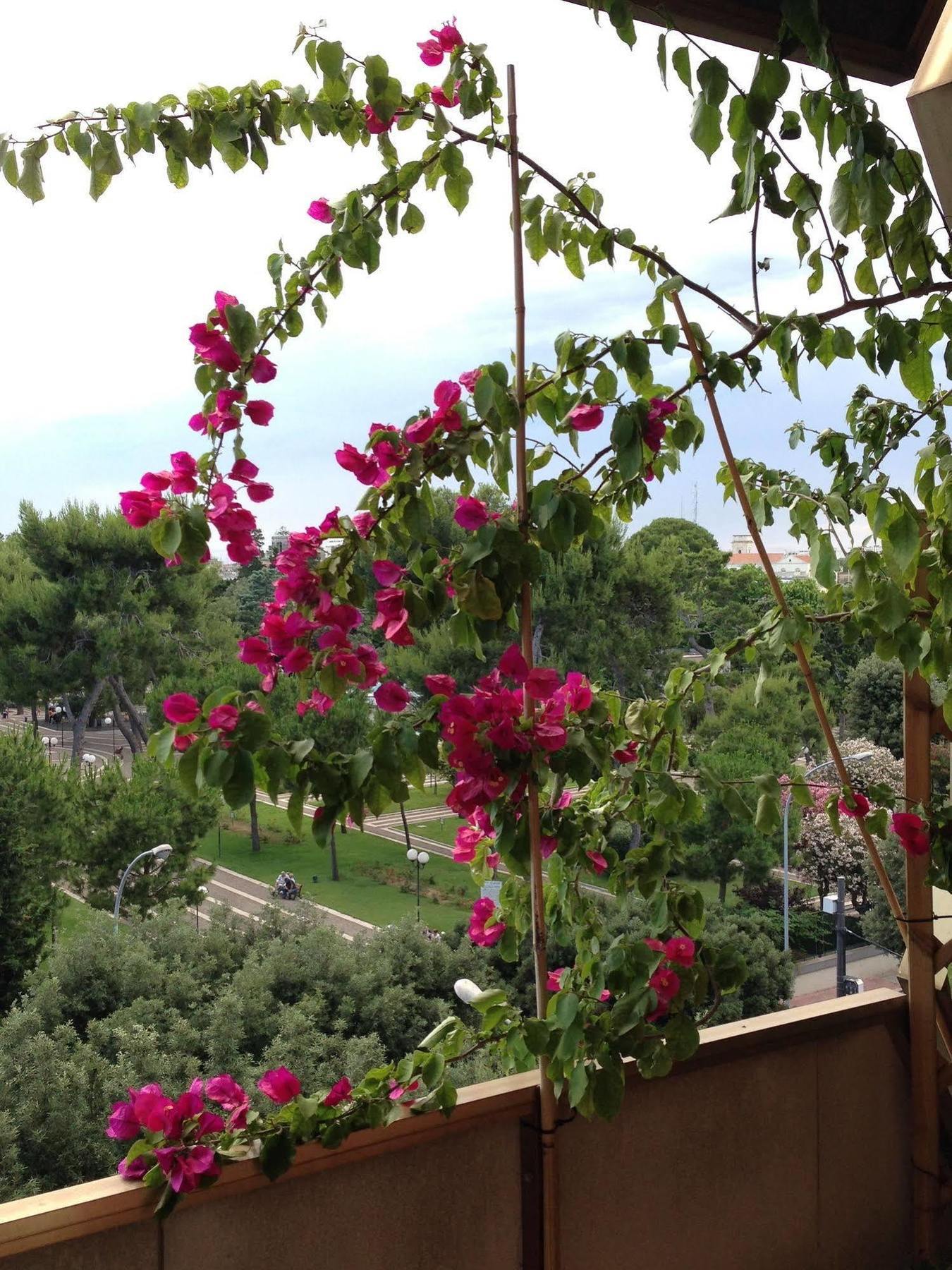Larala' Bed and Breakfast Λέτσε Εξωτερικό φωτογραφία